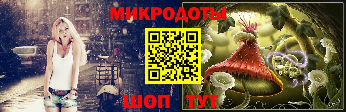 Галлюциногенные грибы GOLDEN TEACHER Грязи