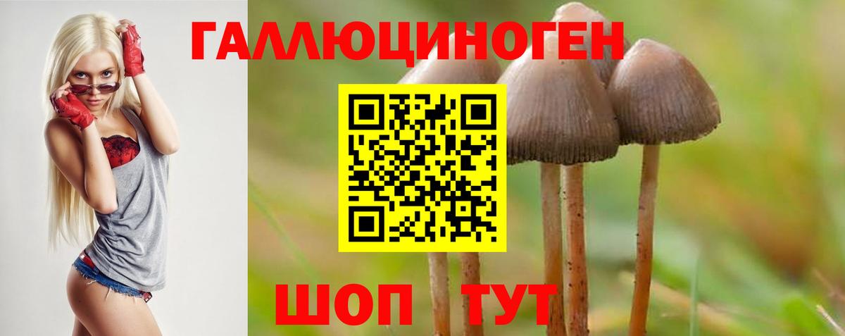 Грязи  Псилоцибиновые грибы Psilocybe  Галлюциногенные грибы GOLDEN TEACHER  Вход с VPN 