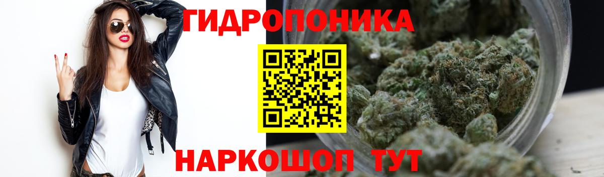 Шишки марихуана семена Грязи